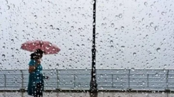 تفاصيل الأرصاد.. أمطار متوقعة غدًا الأحد 14 ديسمبر 2025